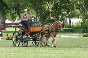 13_15_IMG_0070