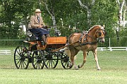 13_15_IMG_0071
