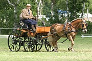 13_15_IMG_0072