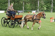 13_15_IMG_0074
