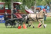 13_15_IMG_0085