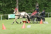 13_15_IMG_0086