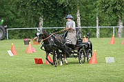 13_15_IMG_0099