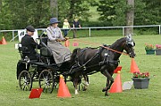 13_15_IMG_0101