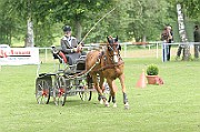 13_15_IMG_0103