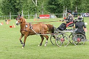 13_15_IMG_0104
