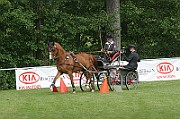 13_15_IMG_0106