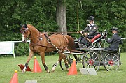 13_15_IMG_0112