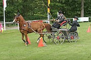 13_15_IMG_0114