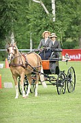 13_15_IMG_0118