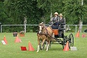 13_15_IMG_0120