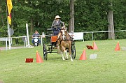 13_15_IMG_0125