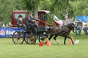 13_15_IMG_0136