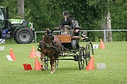 13_15_IMG_0142