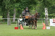 13_15_IMG_0146