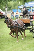 13_15_IMG_0148