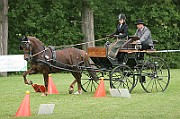 13_15_IMG_0149