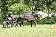 17_IMG_0002