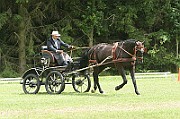 17_IMG_0003