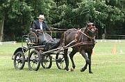 17_IMG_0005