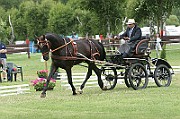 17_IMG_0006