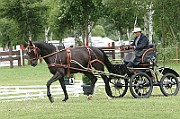 17_IMG_0007