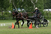 17_IMG_0009