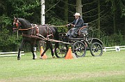 17_IMG_0011