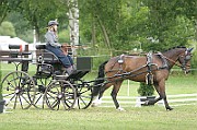 17_IMG_0012