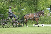 17_IMG_0013