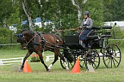 17_IMG_0024