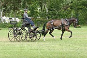 17_IMG_0029