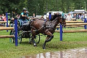 02_IMG_0010