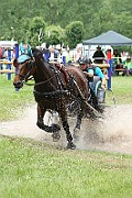 02_IMG_0016