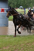 02_IMG_0061