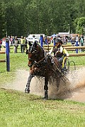 02_IMG_0134