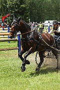 02_IMG_0137