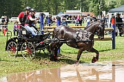 02_IMG_0221