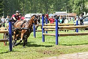 02_IMG_0241
