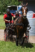 02_IMG_0252