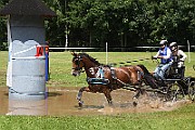 02_IMG_0254