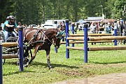 02_IMG_0275