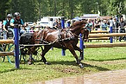 02_IMG_0277