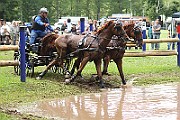 06_IMG_0007