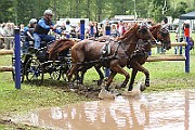 06_IMG_0008