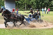 06_IMG_0017
