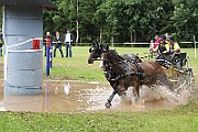 06_IMG_0046