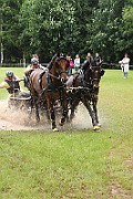 06_IMG_0087