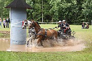 06_IMG_0113