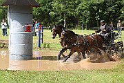 06_IMG_0119